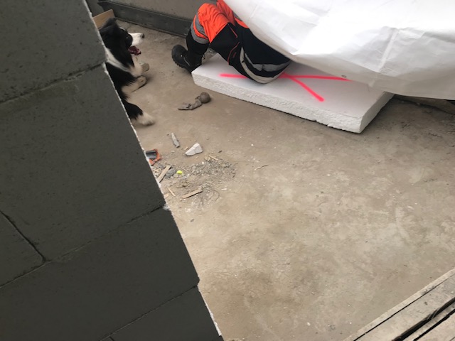 Purkka on löytänyt kadonneen henkilön. Se ilmoittaa löydöstään haukkumalla ja odottaa, milloin pääsee pelaamaan sukkapallon kanssa.