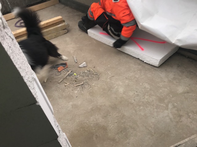 Sukkapallopeli käynnissä.
